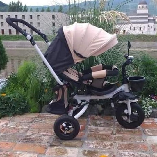 146124946-447336626680489-5100393337301369091-n